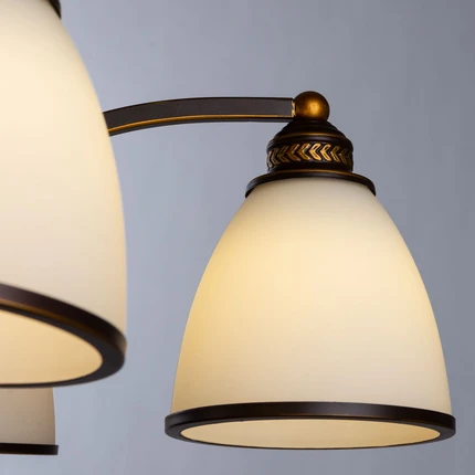 Подвесная люстра Arte Lamp BONITO A9518LM-5BA